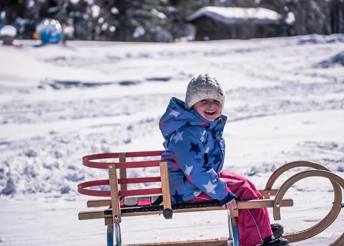 Apartmán Alpen The View